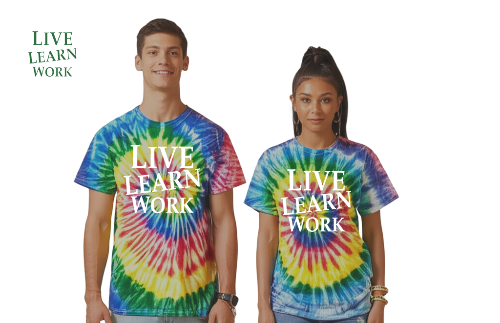Live Learn Work Classic tee Unisex - My Store