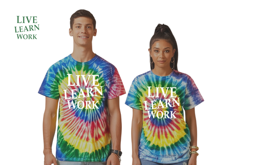 Live Learn Work Classic tee Unisex - My Store